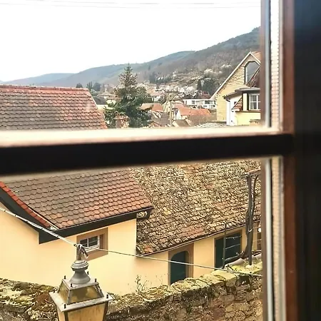 Apartment Auszeit Beim Winzer- Meerspinne Neustadt an der Weinstrasse