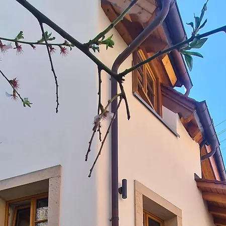 Auszeit Beim Winzer- Meerspinne Apartment *