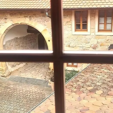 Auszeit Beim Winzer- Meerspinne