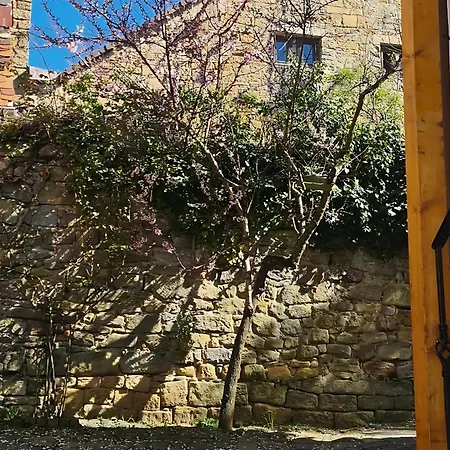 Auszeit Beim Winzer- Meerspinne * Neustadt an der Weinstrasse