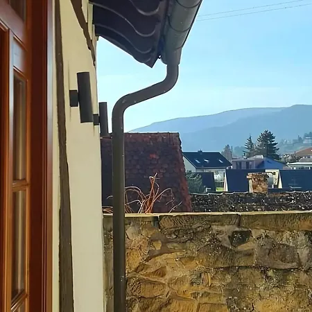 Appartement Auszeit Beim Winzer- Meerspinne Neustadt an der Weinstraße