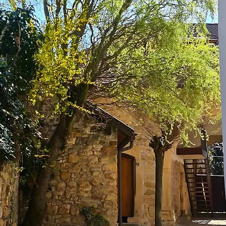 Auszeit Beim Winzer- Meerspinne * Neustadt an der Weinstraße